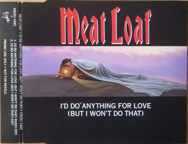 Capa de I'd Do Anything for Love [But I Won't Do That) (Radio Edit]